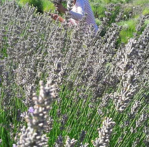 Central, Spacious, Great View 公寓 *