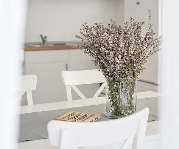 Central, Spacious, Great View *