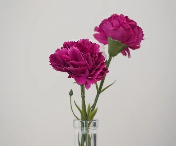 Central, Spacious, Great View 公寓