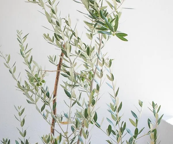 Central, Spacious, Great View 公寓 赫瓦尔