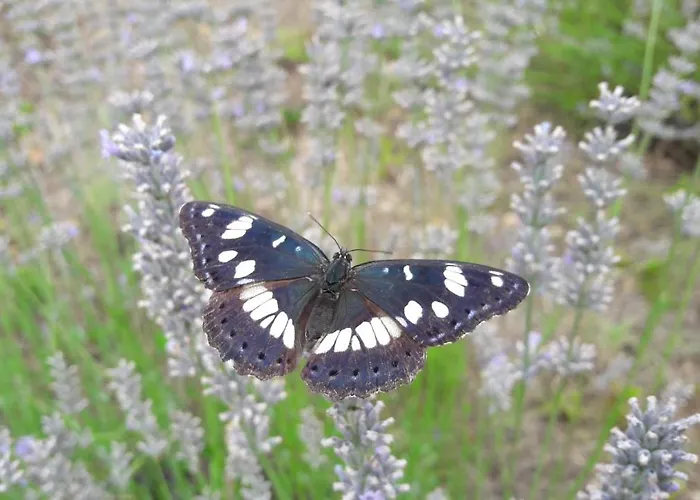 公寓 Central, Spacious, Great View