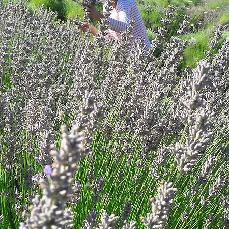 Central, Spacious, Great View Apartment *